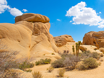 Lesbian Dating in Yucca Valley