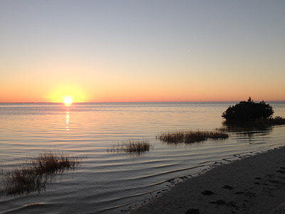 Gay Dating in New Port Richey