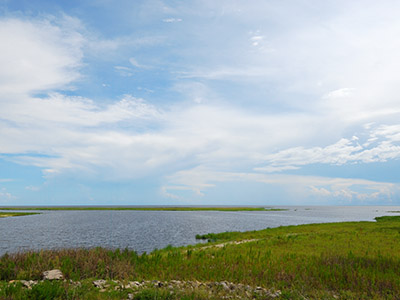 Gay Dating in Okeechobee