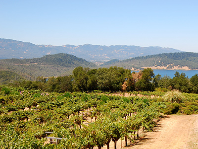Lesbian Dating in Napa
