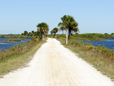 Gay Dating in Merritt Island